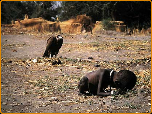 [Image: human_suffering.jpg]
