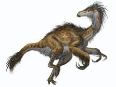 The "dino-bird" stories that appear in the evolutionist press consist of biased analyses by evolutionist paleontologists, and sometimes even of distortions of the truth.
