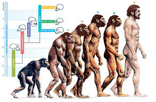 The theory of evolution is the outcome of the materialist philosophy that surfaced with the reawakening of ancient Sumerian and Greek materialistic myths and became widespread in the 19th century. Materialism seeks to explain nature through purely material factors. Since it denies creation right from the start…