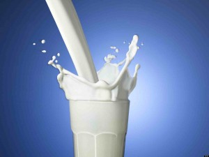 High-nutrition milk is thus produced from blood, which cannot be consumed directly, and semi-digested food.