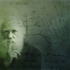 Darwin's atheism had the greatest influence on shaping his theory. He twisted facts, observations, and proofs in order to maintain his prejudice that life was not created. When one reads The Origin of Species, one clearly sees how Darwin was at pains to reject all evidence for creation