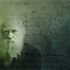 One of the most important and yet least-known aspects of Darwin is his racism: Darwin regarded white Europeans as more 