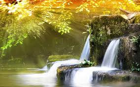 Logic and good reason show that the entire universe is nothing but a manifestation and substantiation of Allah’s Divine “Woudd” (i.e. Love) for mankind.