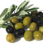 The Olive: A Source of Good Health (Part 1 / 2)