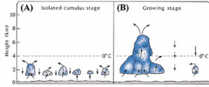 Fig. 2 A