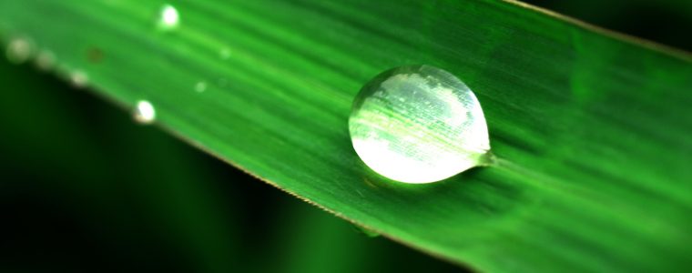 Al-Wadoud: The All-Loving God