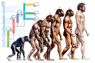A Brief History of the Theory of Evolution