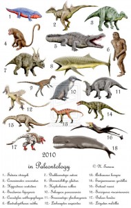 Neo-Darwinists were living with the fond hope-they still do-that the lost transitional forms would one day be found. Realizing that this hope was groundless, Eldredge and Gould were nevertheless unable to abandon their evolutionary dogma, so they put forward a new model: punctuated equilibrium.