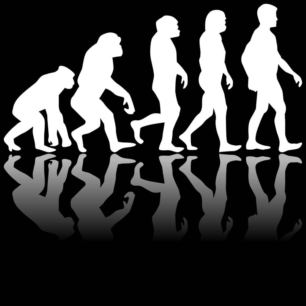 Imaginary Mechanism of Evolution