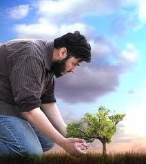 Significance of the Environment in Islam