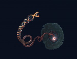 Genomes