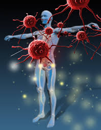 Fasting Can Regenerate Entire Immune System