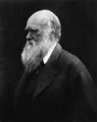 However, scientific experiments and observations carried out in recent years have revealed that being in a restricted population is not an advantage from the genetic point of view, but rather a disadvantage.