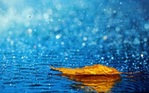 Every year, the amount of water that evaporates and that falls back to the Earth in the form of rain is "constant": 513 trillion tons.