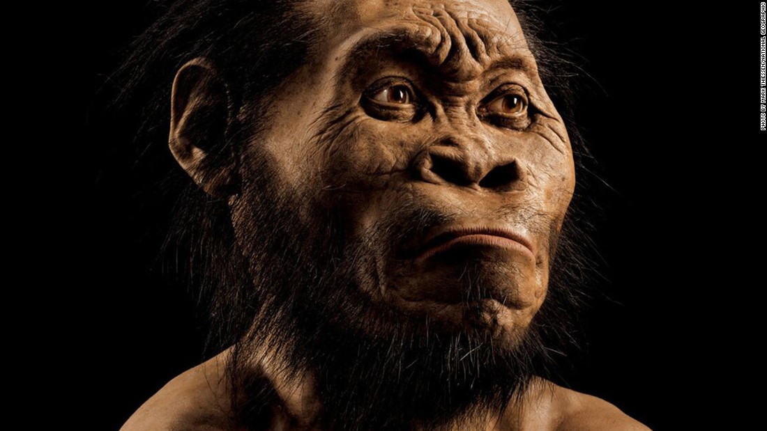 Homo Naledi