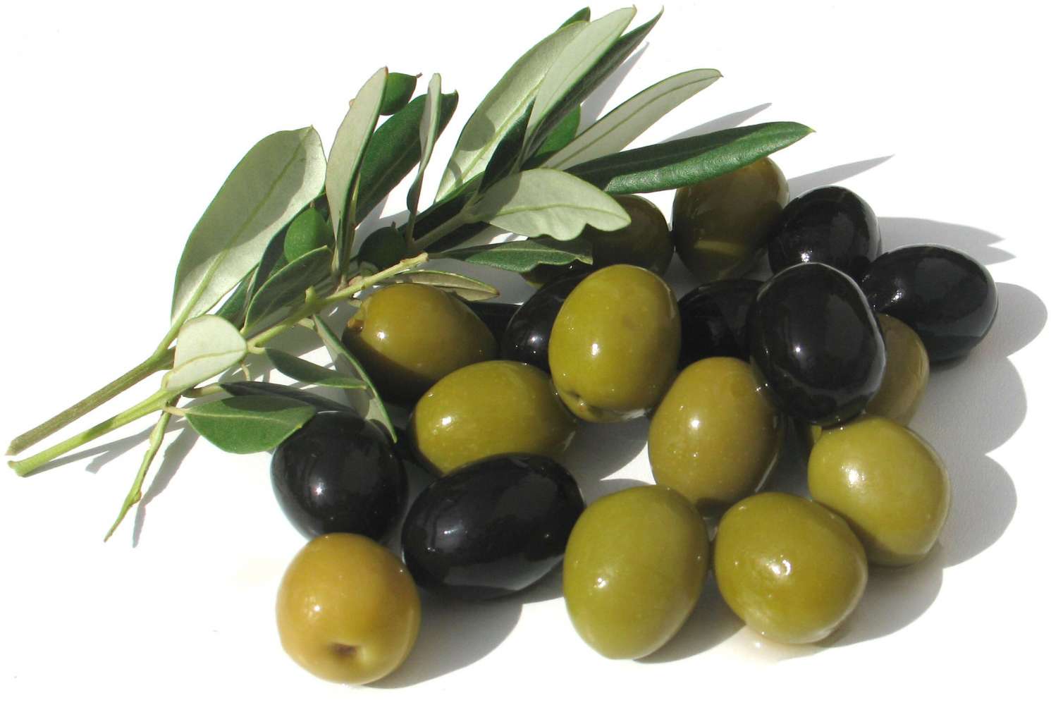 The Olive: A Source of Good Health (Part 1 / 2)
