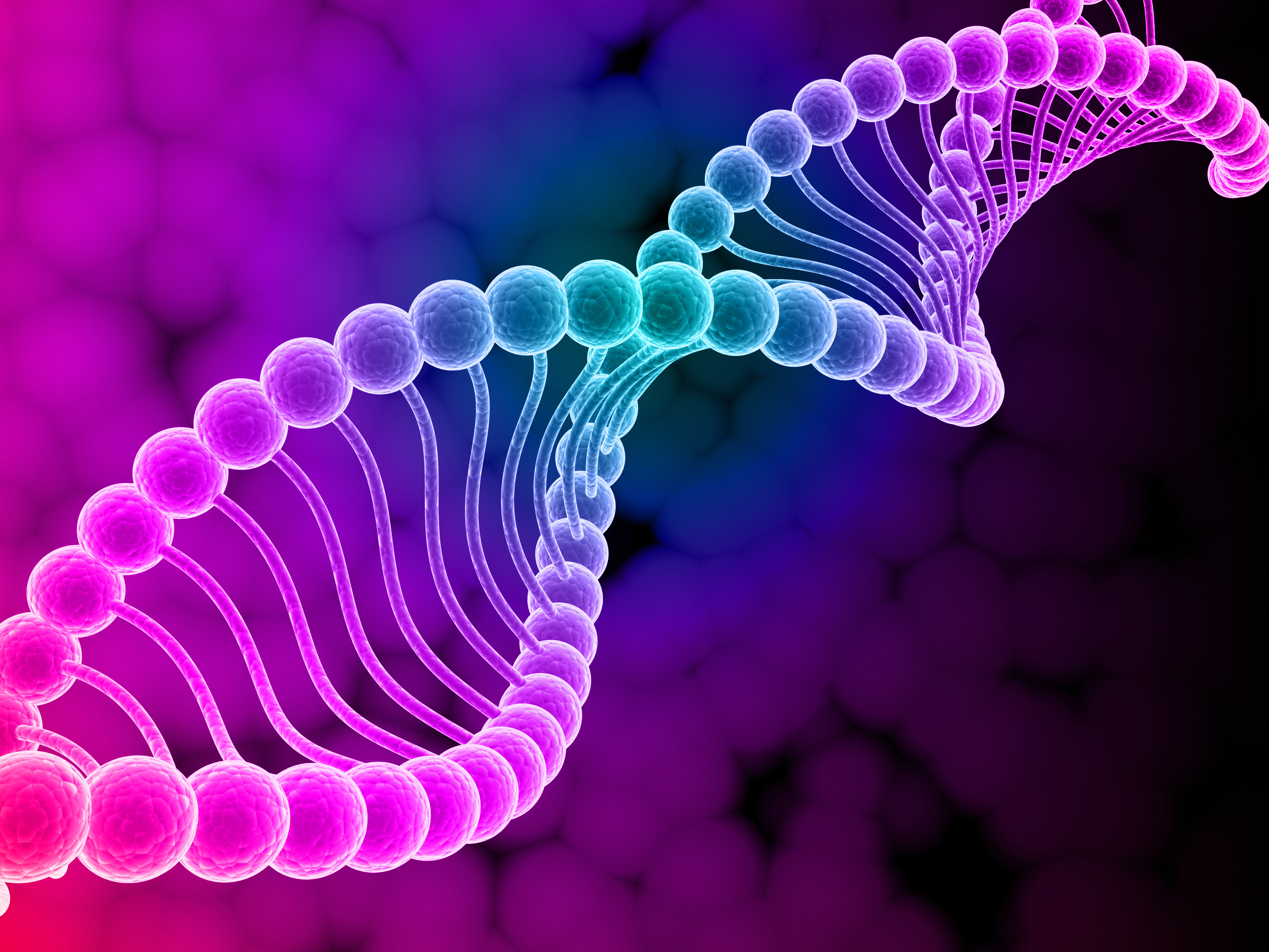 Gender and the 23th Chromosome Pair