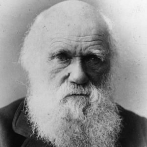 Darwinism Refuted (Special Folder)