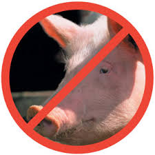 Why Does Islam Prohibit Eating Pork?