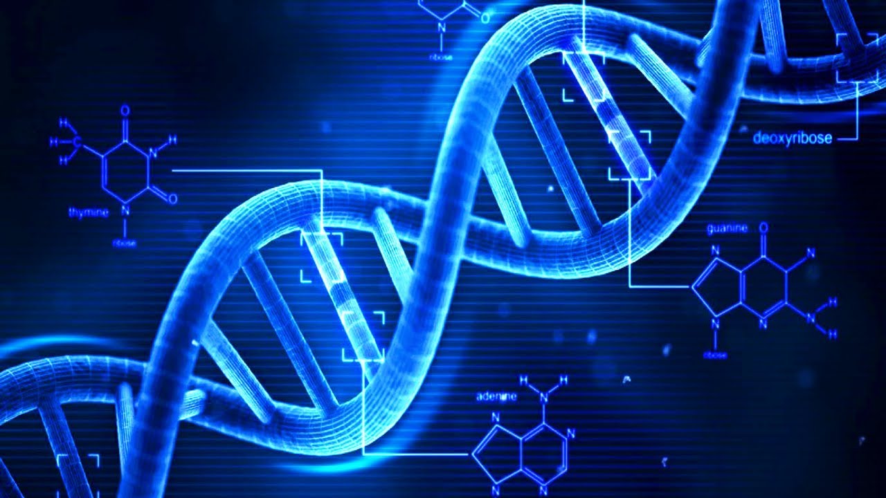 Recurring DNA in Genome Structure