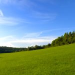 Manifestations of Kindness to Parents
