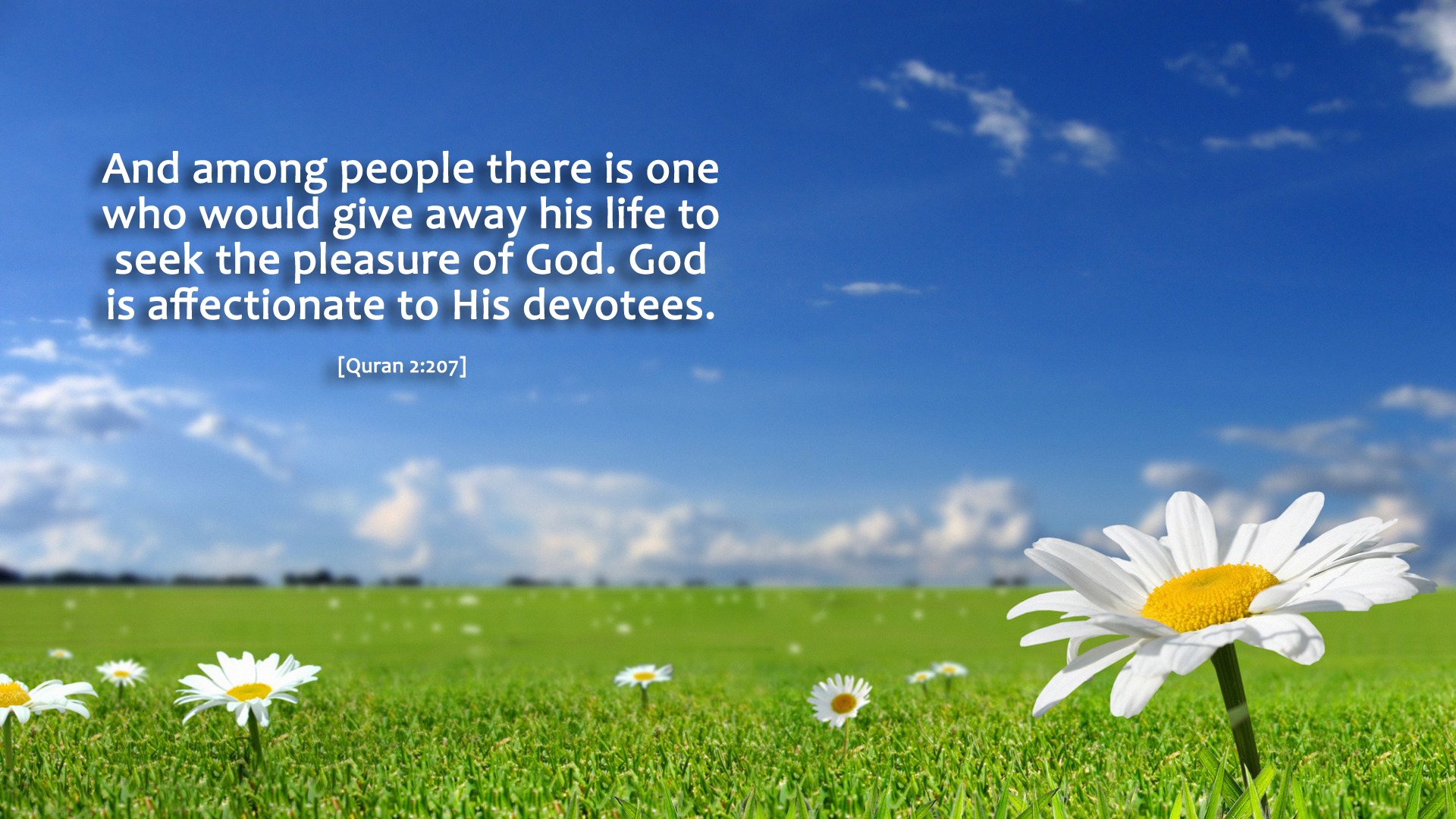 pleasure of god