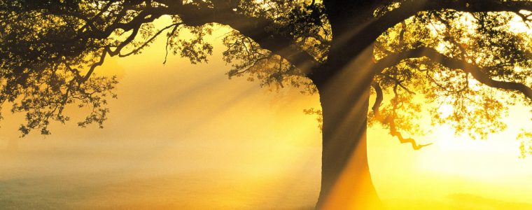 Concept of God in Islam