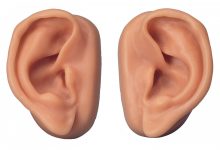 ear