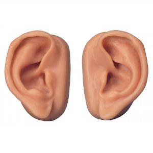 ear