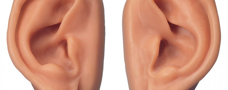 Do Not Cut Off Your Ear
