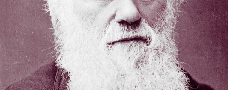 Is Creation an Evolutionary Process?