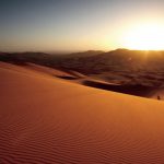 Why the Arabs?