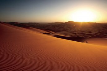 Why the Arabs?