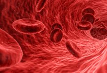 The Color of Blood: Red Blood Cells