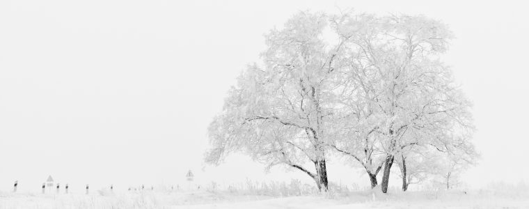 Adaptation to Weather Extremes