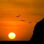 Friday: The Best Day of the Week