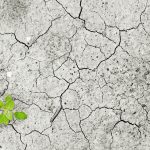 Climate Change: A Religious Perspective