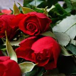 4 Wives for Muslims, 9 for the Prophet (PBUH): Why?