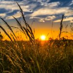 10 Principles for Those Seeking the Path of Allah