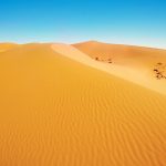 Why Did Prophet Muhammed Migrate to Madinah?