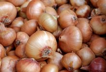 Onions: Where Sweet Meets Tangy