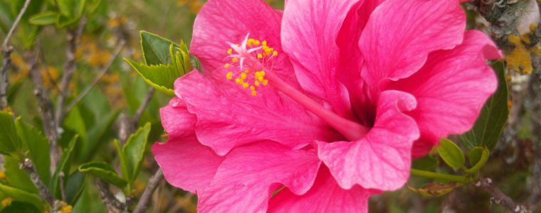Allah is Beautiful and Loves Beauty