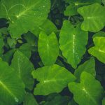 Muslim vs. Atheist: Jihad on Ignorance