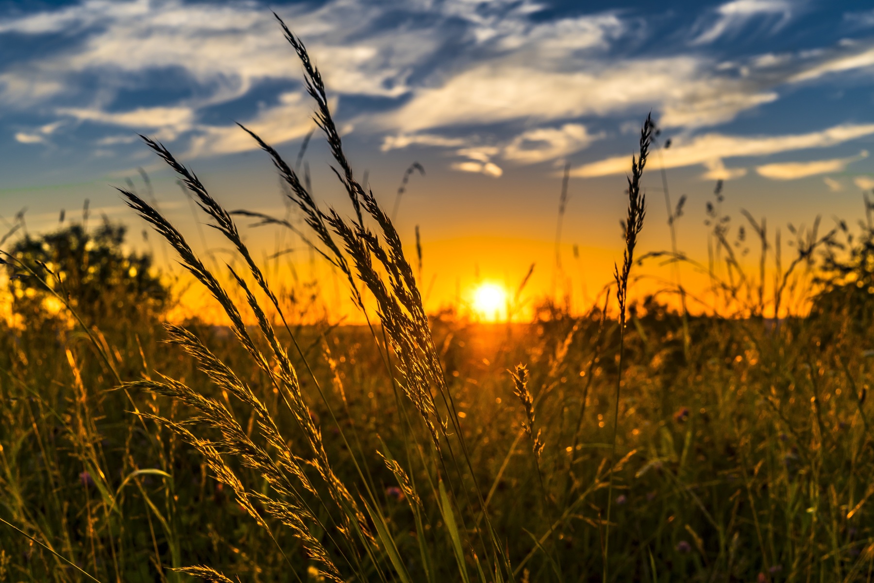 The Importance of `Aqidah (Creed, Faith)