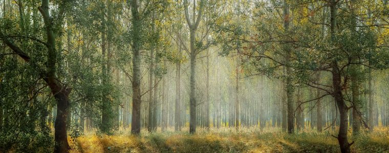 9 Muslim Teen Leaders