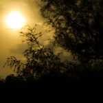 Merits of the 15th Night of Shaban