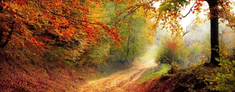 Striving in Ramadan to Become a Pious Person